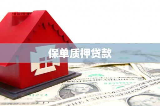 南阳保单质押贷款