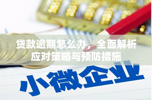 南阳贷款逾期怎么办，全面解析应对策略与预防措施