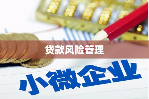 南阳贷款风险管理