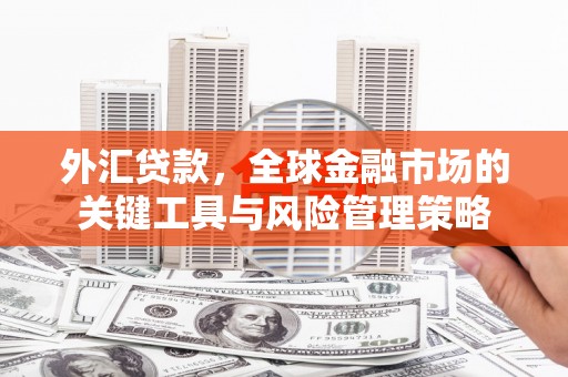南阳外汇贷款，全球金融市场的关键工具与风险管理策略