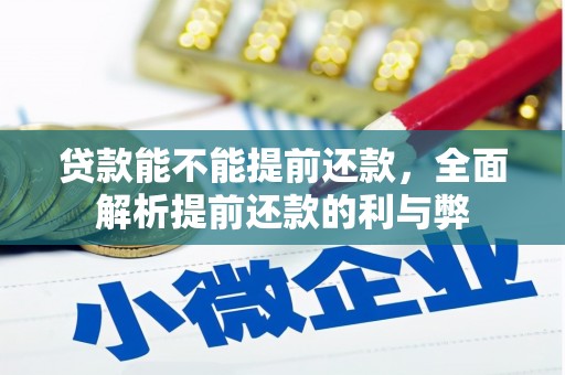 南阳贷款能不能提前还款，全面解析提前还款的利与弊