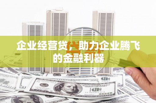 南阳企业经营贷，助力企业腾飞的金融利器