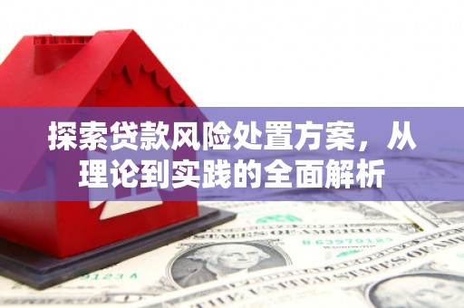 南阳探索贷款风险处置方案，从理论到实践的全面解析