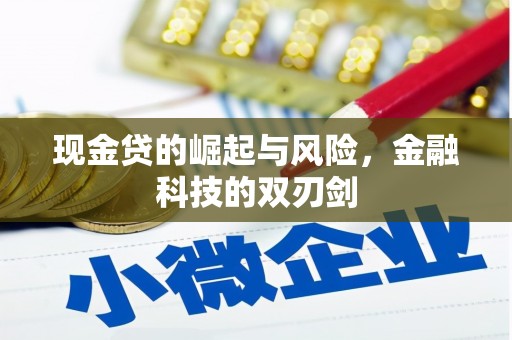 南阳现金贷的崛起与风险，金融科技的双刃剑