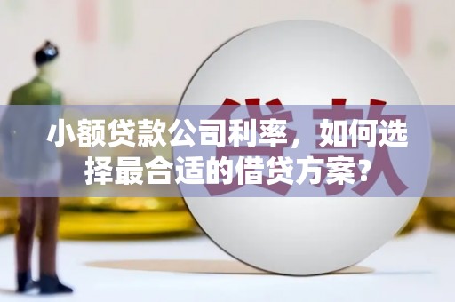 南阳小额贷款公司利率，如何选择最合适的借贷方案？