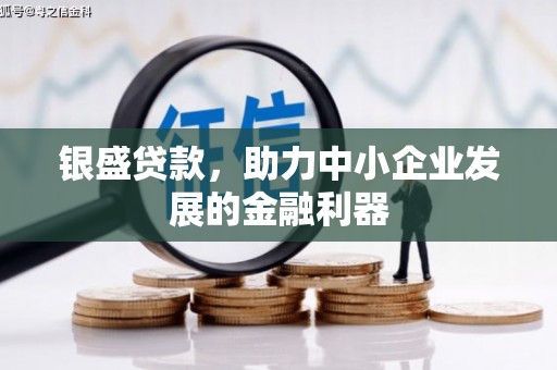 南阳银盛贷款，助力中小企业发展的金融利器