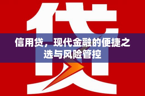 南阳信用贷，现代金融的便捷之选与风险管控