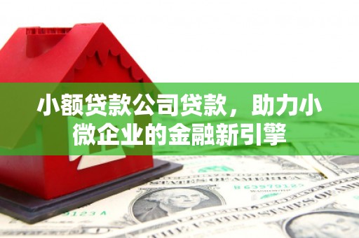 南阳小额贷款公司贷款，助力小微企业的金融新引擎
