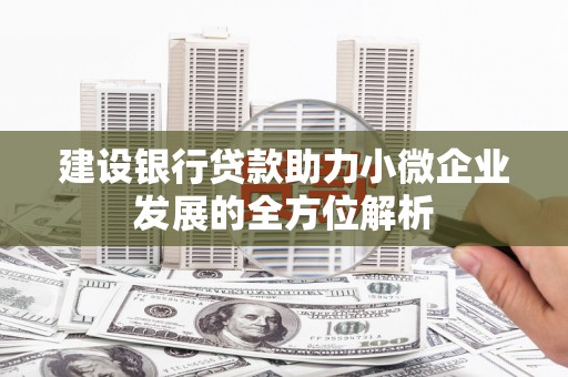 南阳建设银行贷款助力小微企业发展的全方位解析