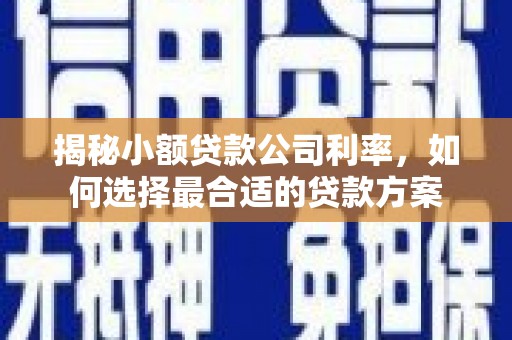 南阳揭秘小额贷款公司利率，如何选择最合适的贷款方案