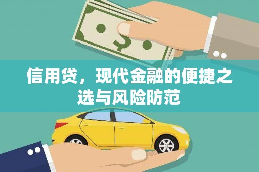 南阳信用贷，现代金融的便捷之选与风险防范