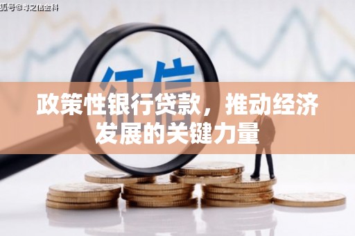 南阳政策性银行贷款，推动经济发展的关键力量