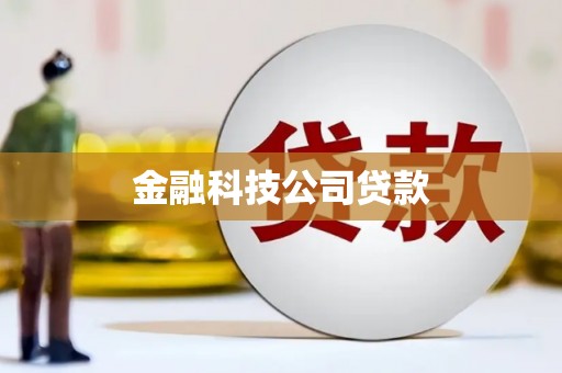 南阳金融科技公司贷款