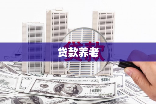 南阳贷款养老