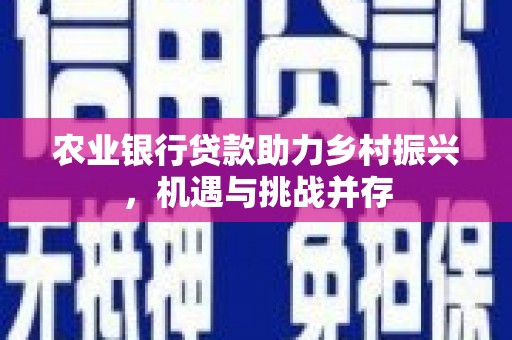 南阳农业银行贷款助力乡村振兴，机遇与挑战并存