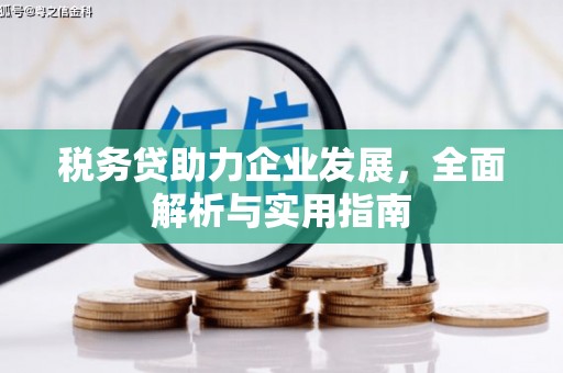 南阳税务贷助力企业发展，全面解析与实用指南