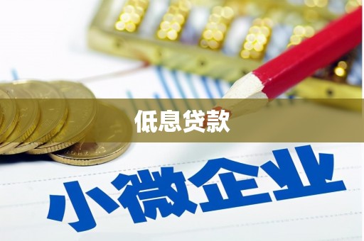 南阳低息贷款