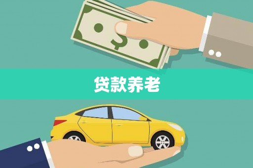 南阳贷款养老