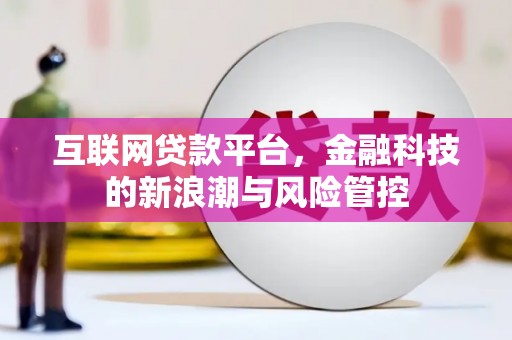 南阳互联网贷款平台，金融科技的新浪潮与风险管控