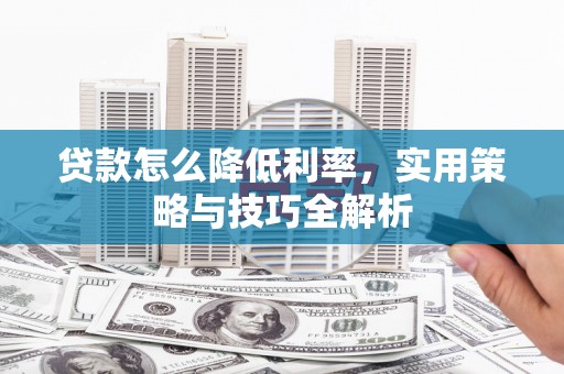 南阳贷款怎么降低利率，实用策略与技巧全解析