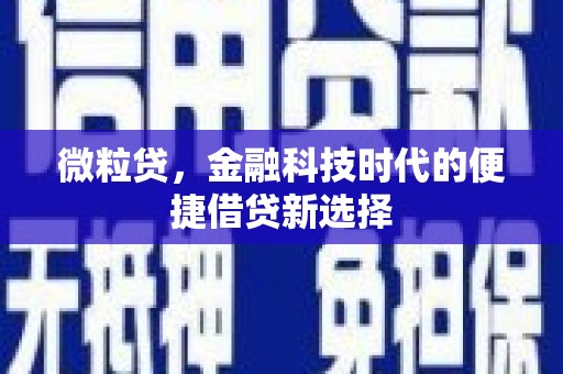 南阳微粒贷，金融科技时代的便捷借贷新选择