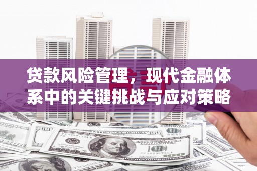 南阳贷款风险管理，现代金融体系中的关键挑战与应对策略