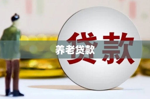 南阳养老贷款