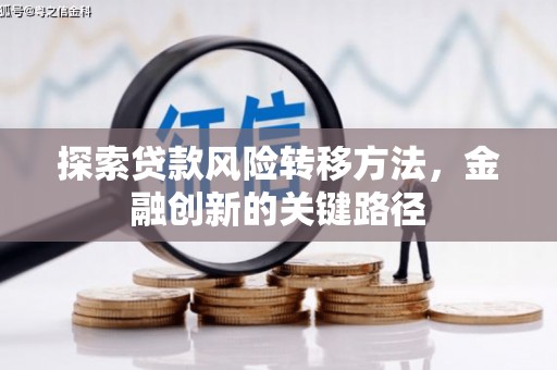 南阳探索贷款风险转移方法，金融创新的关键路径