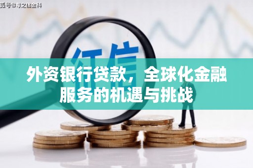 南阳外资银行贷款，全球化金融服务的机遇与挑战