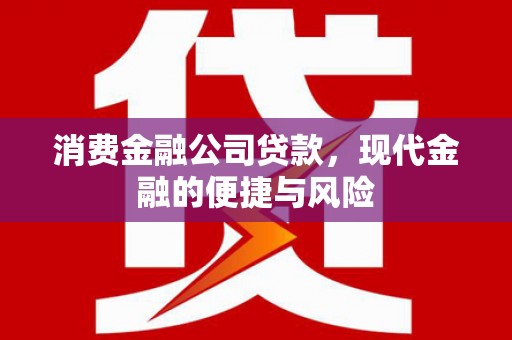 南阳消费金融公司贷款，现代金融的便捷与风险
