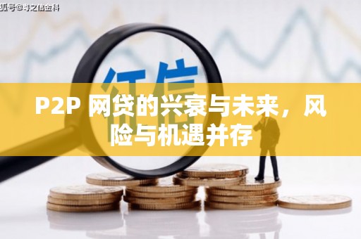 南阳P2P 网贷的兴衰与未来，风险与机遇并存