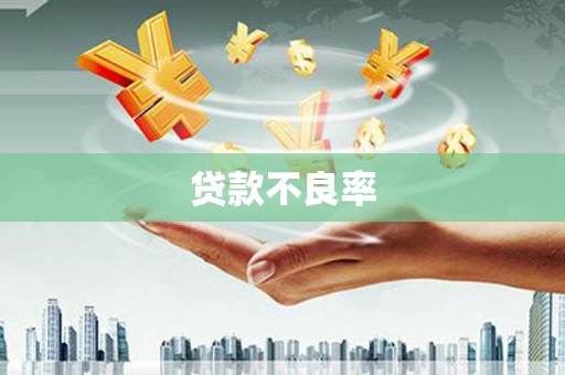 南阳贷款不良率