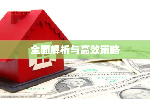 南阳全面解析与高效策略