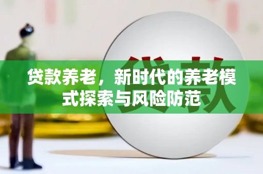南阳贷款养老，新时代的养老模式探索与风险防范