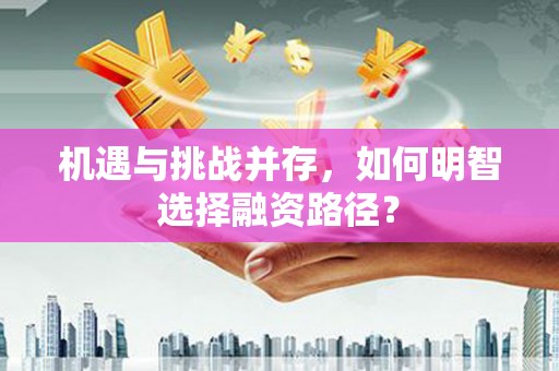 南阳机遇与挑战并存，如何明智选择融资路径？