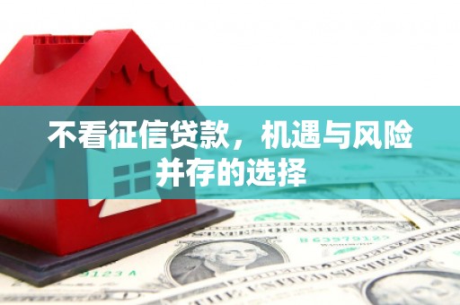 南阳不看征信贷款，机遇与风险并存的选择