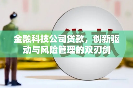 南阳金融科技公司贷款，创新驱动与风险管理的双刃剑