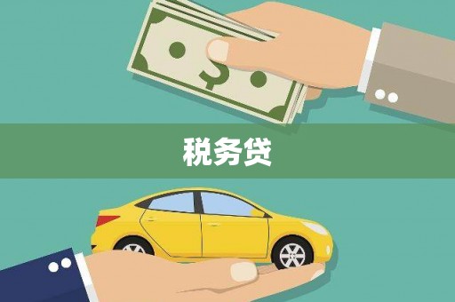 南阳税务贷